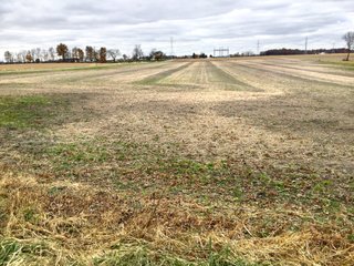 Property photo 14 - REAL ESTATE AUCTION - 336.6+/- ACRES OFFERED IN 10 TRACTS IN WHITLEY COUNTY, INDIANA